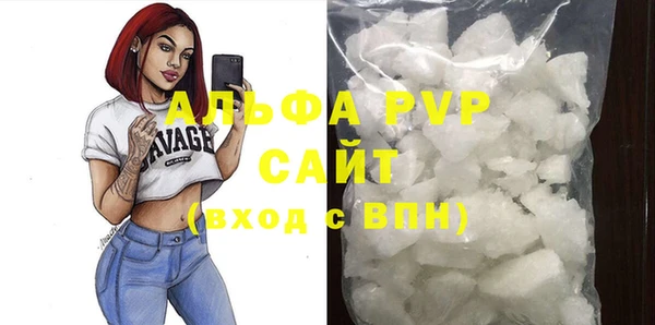 амф Осташков