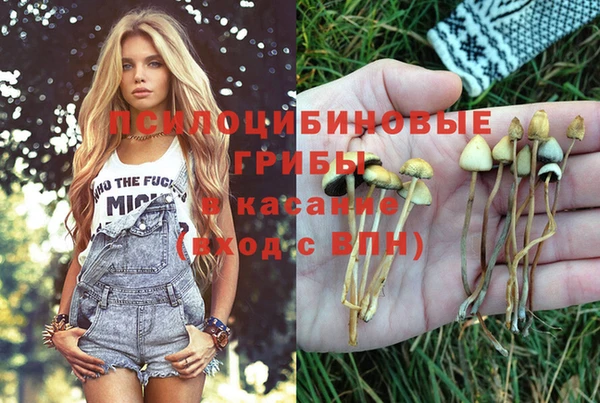 мяу мяу мука Абаза