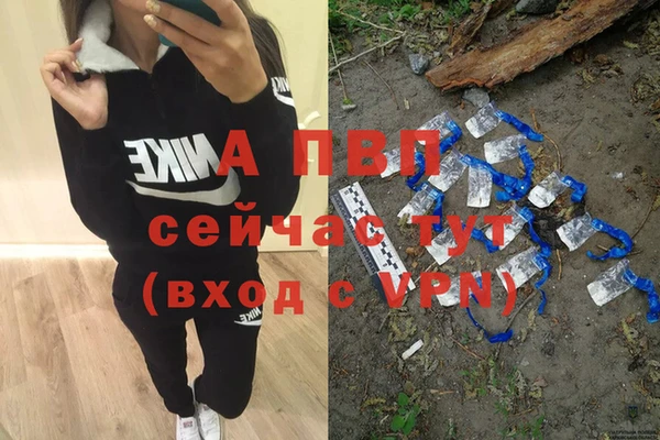 мяу мяу мука Абаза