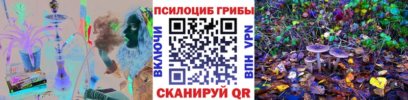 Псилоцибиновые грибы Psilocybine cubensis  Пудож 